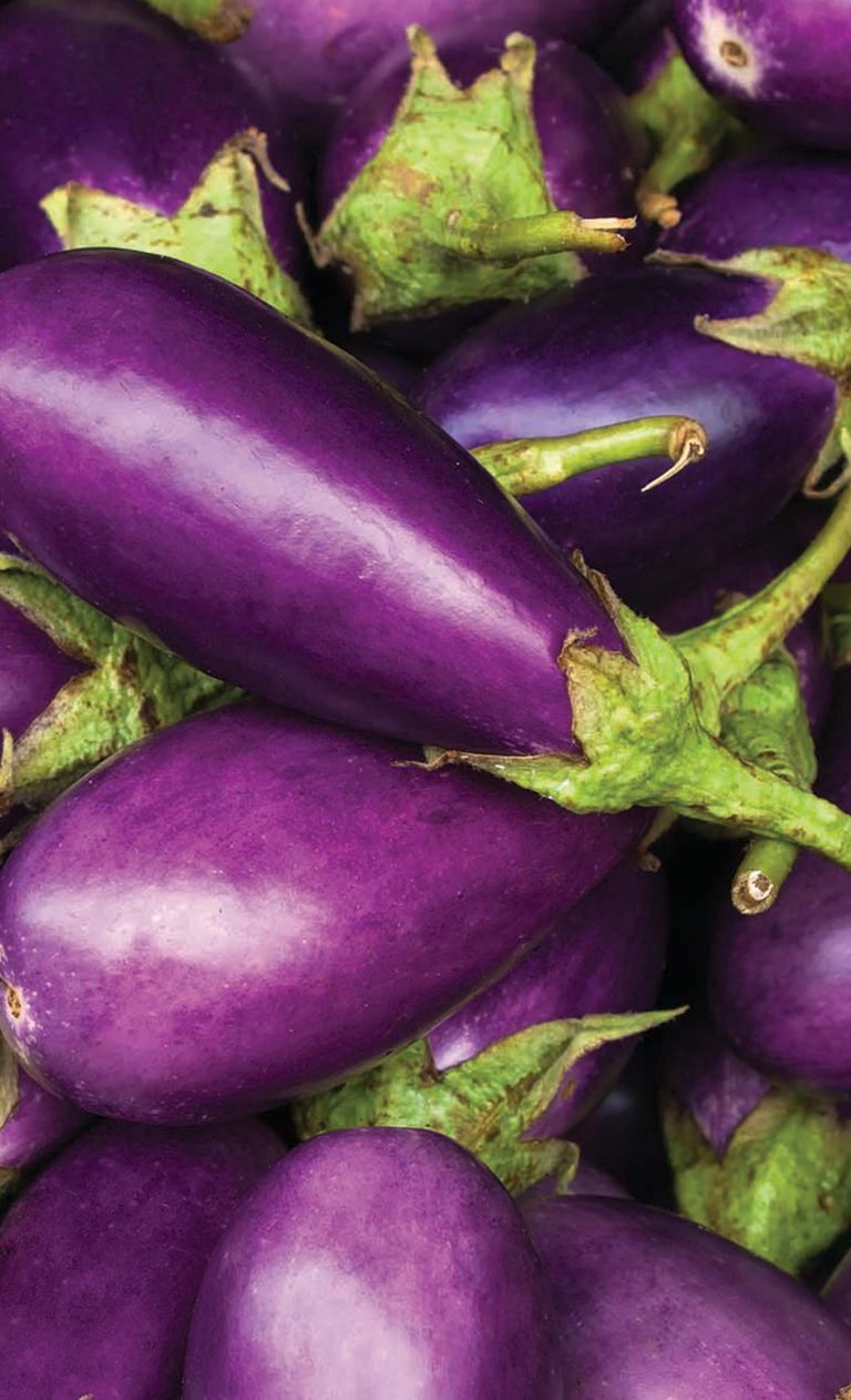 Roasted Eggplant – Nabet